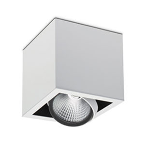 Surface Mounted LED Single