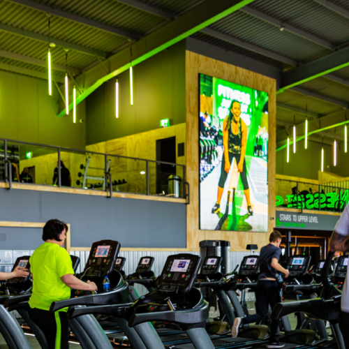 The Essential Guide To Gym Lighting Design Prolight Design