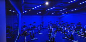 jd gym glasgow south