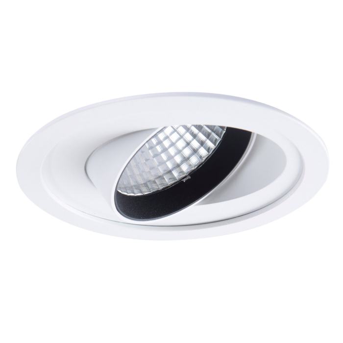 dingo pro downlight